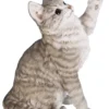 Figurine en résine chat gris jouant Riviera - 33 cm