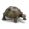 Figurine Tortue géante Série Animaux sauvages 8,5x5,5x4 cm