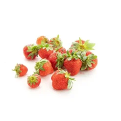 Fraises bio d'Espagne - Barquette de 500 g