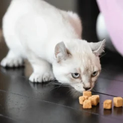 Friandises pour chat Freeze dried peau pelage Marly & Dan - 40g