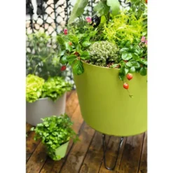 Fumier lombricomposté botanic® - 15 kg