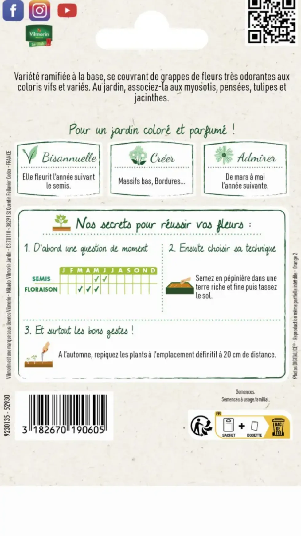 Giroflée Ravenelle Simple Variée Vilmorin - graines à semer