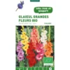 Glaïeul à grandes fleurs mélange bio botanic® - 5 bulbes