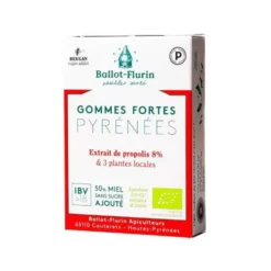 Gommes fortes des Pyrénées boîte 30 g rouge