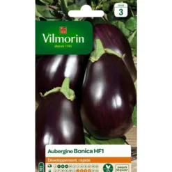Graines d'aubergine bonica HF1 Vilmorin - graines à semer