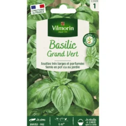 Graines de basilic grand vert Vilmorin - graines à semer