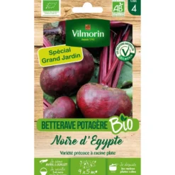 Graines de betterave Egypte bio coloris rose Vilmorin jardin - graines à semer