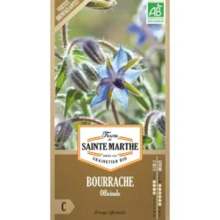 Graines de bourrache officinale bio Ferme de Sainte Marthe - graines à semer