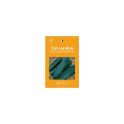 Graines de concombre vert long maraîcher sélection premier prix - graines à semer