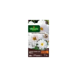 Graines de Cosmos double click blanc Vilmorin - graines à semer