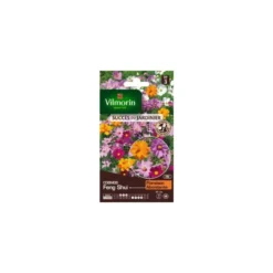 Graines de Cosmos Feng Shui Vilmorin Graines d’exception - graines à semer