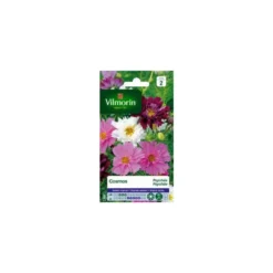 Graines de Cosmos Psyché varié Vilmorin - graines à semer