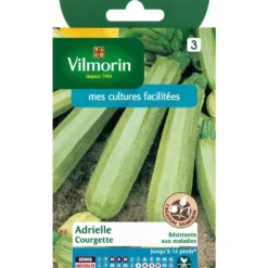 Graines de courgette adrielle Vilmorin - graines à semer