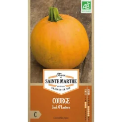 Graines de courgette jack O lanterne bio Ferme de Sainte Marthe - graines à semer