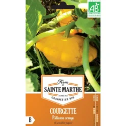 Graines de courgette patisson orange bio Ferme de Sainte Marthe - graines à semer