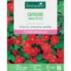 Graines de fleurs Capucine boule de feu botanic®