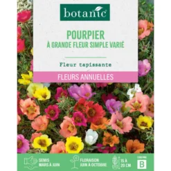 Graines de fleurs de Pourpier à grande fleur simple varié botanic®
