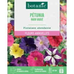 Graines de fleurs de Pétunia nain varié botanic®
