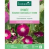 Graines de fleurs d'Ipomée à grande fleur Scarlett O'hara botanic®