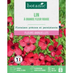 Graines de fleurs Lin à grande fleur rouge botanic®