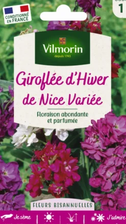 Graines de Giroflée d’hiver de Nice variée Vilmorin - graines à semer