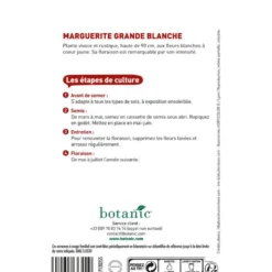 Graines de grande marguerite blanche botanic® - graines à semer