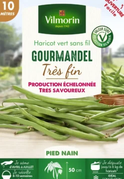 Graines de haricot gourmandel coloris vert Vilmorin jardin - graines à semer