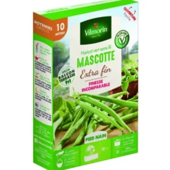 Graines de haricot nain Mascotte Vilmorin - graines à semer