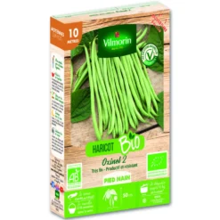 Graines de haricots nain sans fil Oxinel Vilmorin - graines à semer