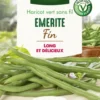 Graines de Haricot vert sans fil Emerite fin Vilmorin - graines à semer