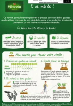 Graines de Haricot vert sans fil Emerite fin Vilmorin - graines à semer