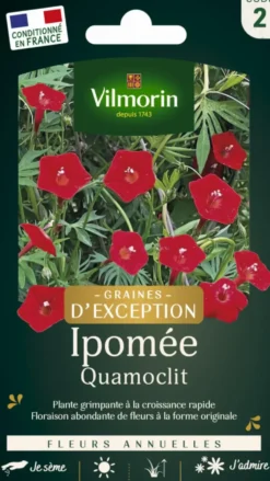Graines de Ipomée Quamoclit Vilmorin graines d’exception - graines à semer
