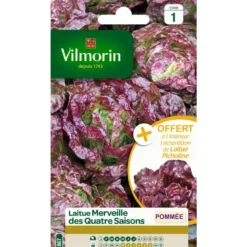 Graines de laitue merveille des quatre saisons Vilmorin - graines à semer