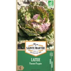 Graines de Laitue pommée Pasquier bio Ferme de Sainte Marthe - graines à semer
