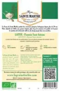 Graines de Laitue pommée Saint Antoine bio Ferme de Sainte Marthe - 500 graines à semer