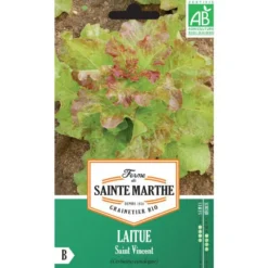 Graines de Laitue Saint Vincent bio Ferme de Sainte Marthe - 500 graines à semer