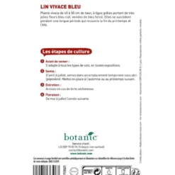 Graines de lin vivace bleu botanic® - graines à semer