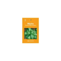 Graines de mâche ronde maraîchère sélection premier prix - graines à semer