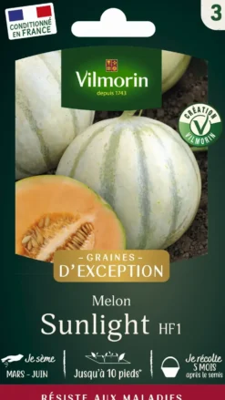Graines de melon lisse sunlight coloris orange Vilmorin jardin jardin - graines à semer