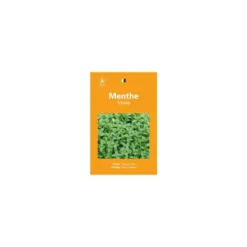 Graines de menthe vraie sélection premier prix - graines à semer