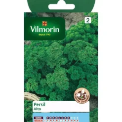Graines de persil frisé alto Vilmorin - graines à semer