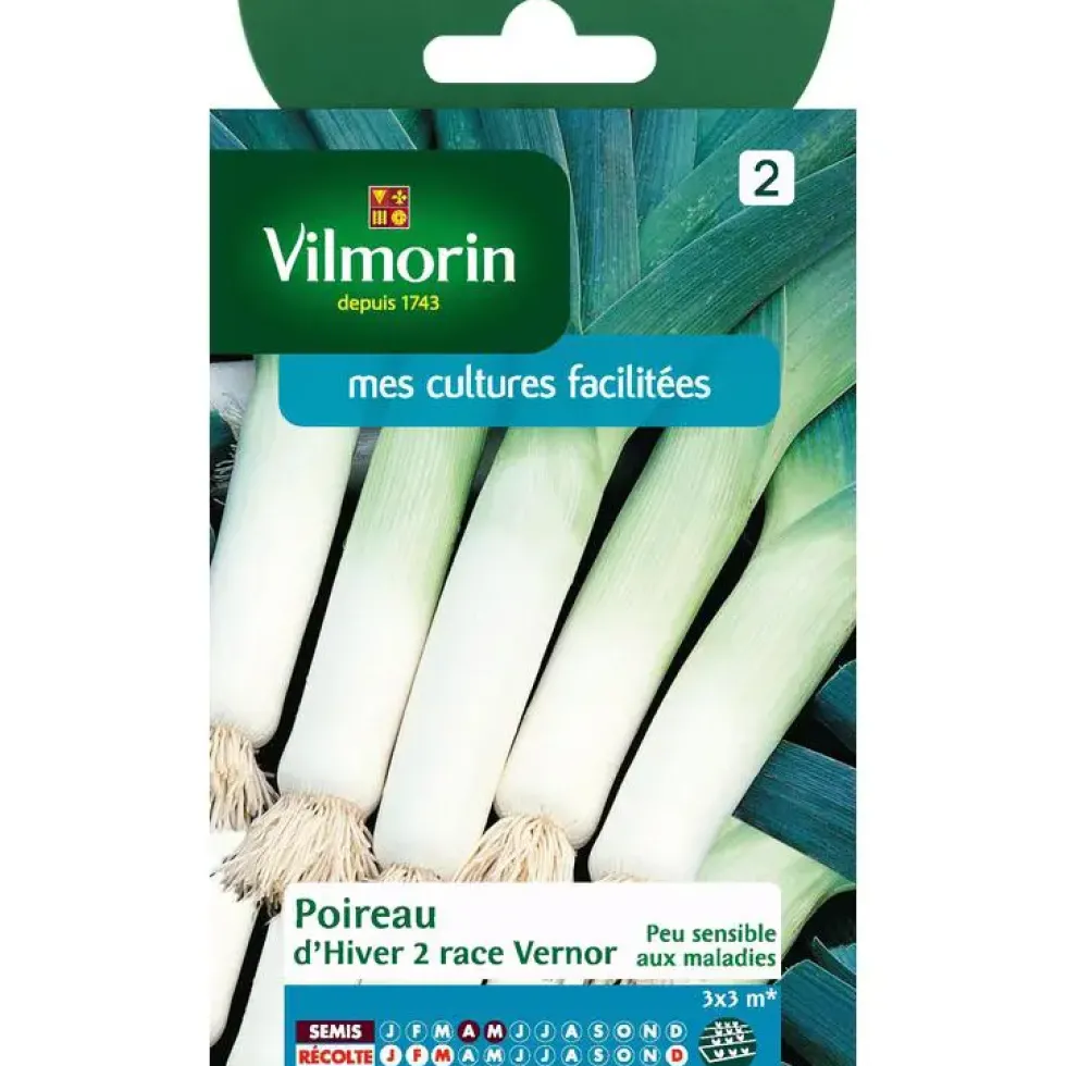 Graines de poireau hiver race vernor Vilmorin - graines à semer