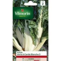 Graines de poirée verte à carde blanche Vilmorin - graines à semer