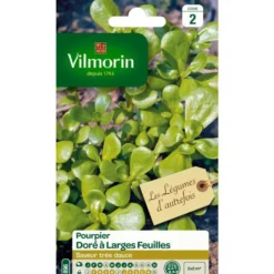 Graines de pourpier doré à larges feuilles Vilmorin - graines à semer