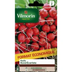 Graines de radis écarlate Vilmorin - graines à semer