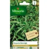 Graines de roquette sauvage Vilmorin - graines à semer
