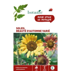 Graines de soleil beauté d'automne varié botanic® - graines à semer
