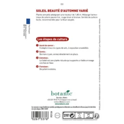 Graines de soleil beauté d'automne varié botanic® - graines à semer