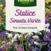 Graines de Statice Sinuata variée Vilmorin - graines à semer