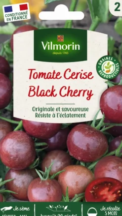 Graines de Tomate black cherry Vilmorin - graines à semer